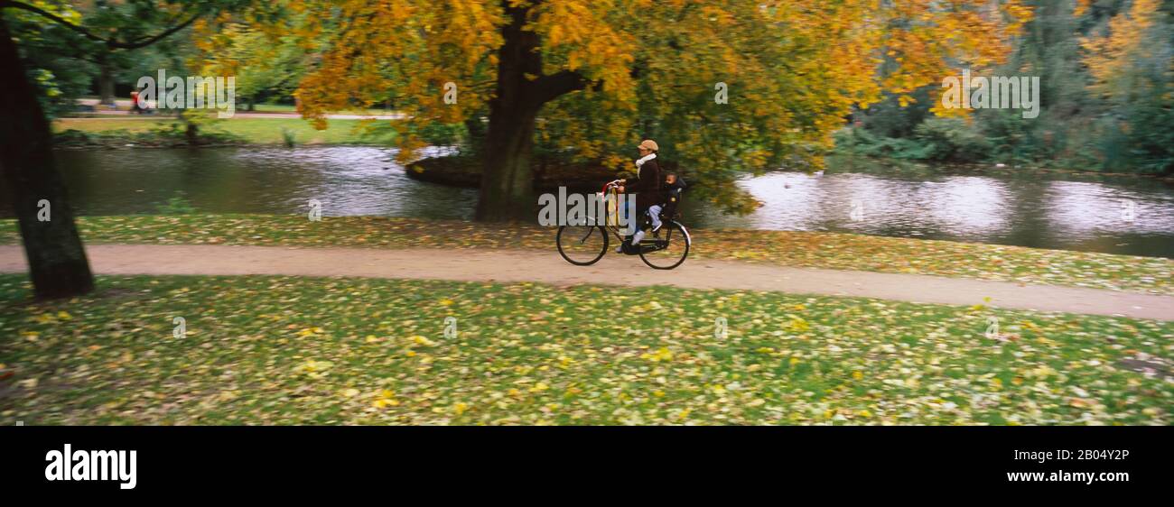 Fahrradfahrer im Park, Vondelpark, Amsterdam, Niederlande Stockfoto
