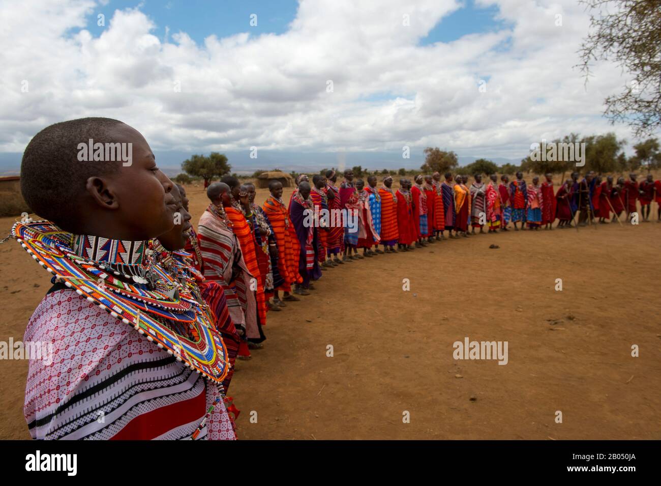 Masai-Frauen, die in einem Masai-Dorf außerhalb des Amboseli-Nationalparks in Kenia einen traditionellen Tanz aufführen. Stockfoto