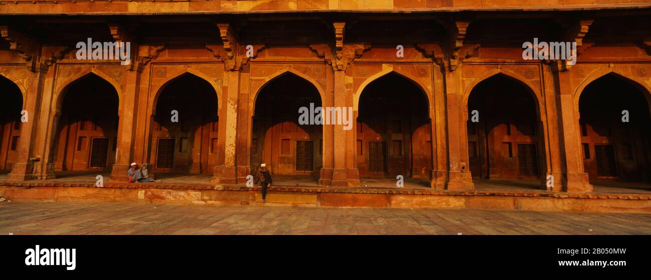 Kolonnaden in einer Moschee, Fatehpur Sikri, Fatehpur, Agra, Uttar Pradesh, Indien Stockfoto