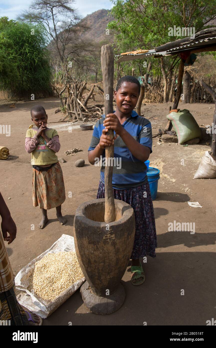 Mädchen zermürben Maiskörner vor ihrer Hütte in der Nähe des Manyara-Sees in Tansania. Stockfoto