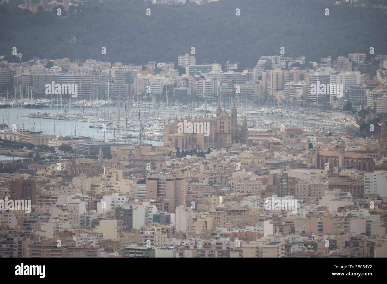 Luftbild, Ortsansicht und Hafen Port de Palma, Santa Iglesia Catedral de Mallorca, Kathedrale von Palma, Canamunt, Palma, Mallorca, Balearische Inseln Stockfoto