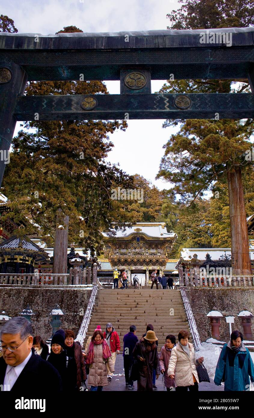 Torii, Tor, Menschen, Touristen, im Toshogu-Tempel, Japan Stockfoto