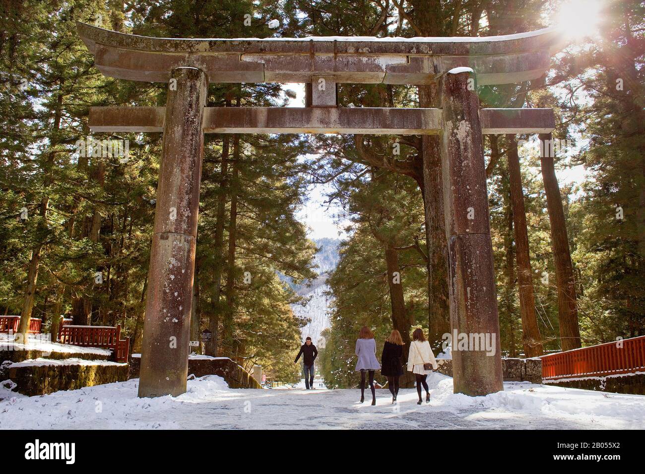 Torii, Tor, am Eingang des Tosho-gu Schreins, Nikko, Japan Stockfoto