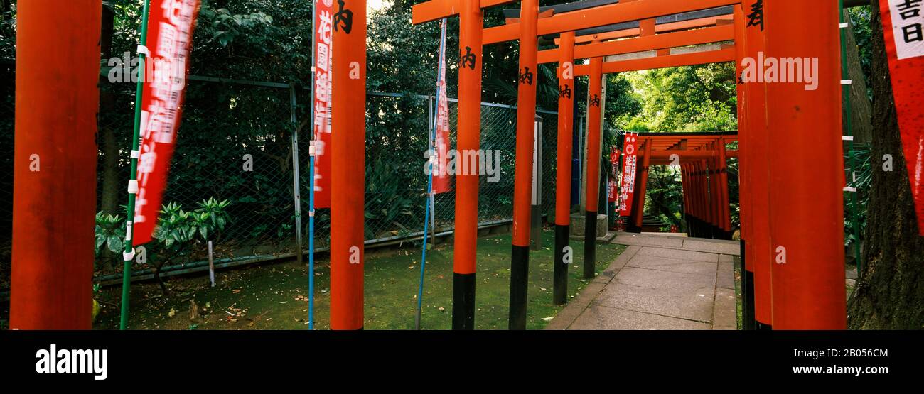 Torii Gates in einem Park, Ueno Park, Präfektur Tokio, Kanto-Region, Japan Stockfoto