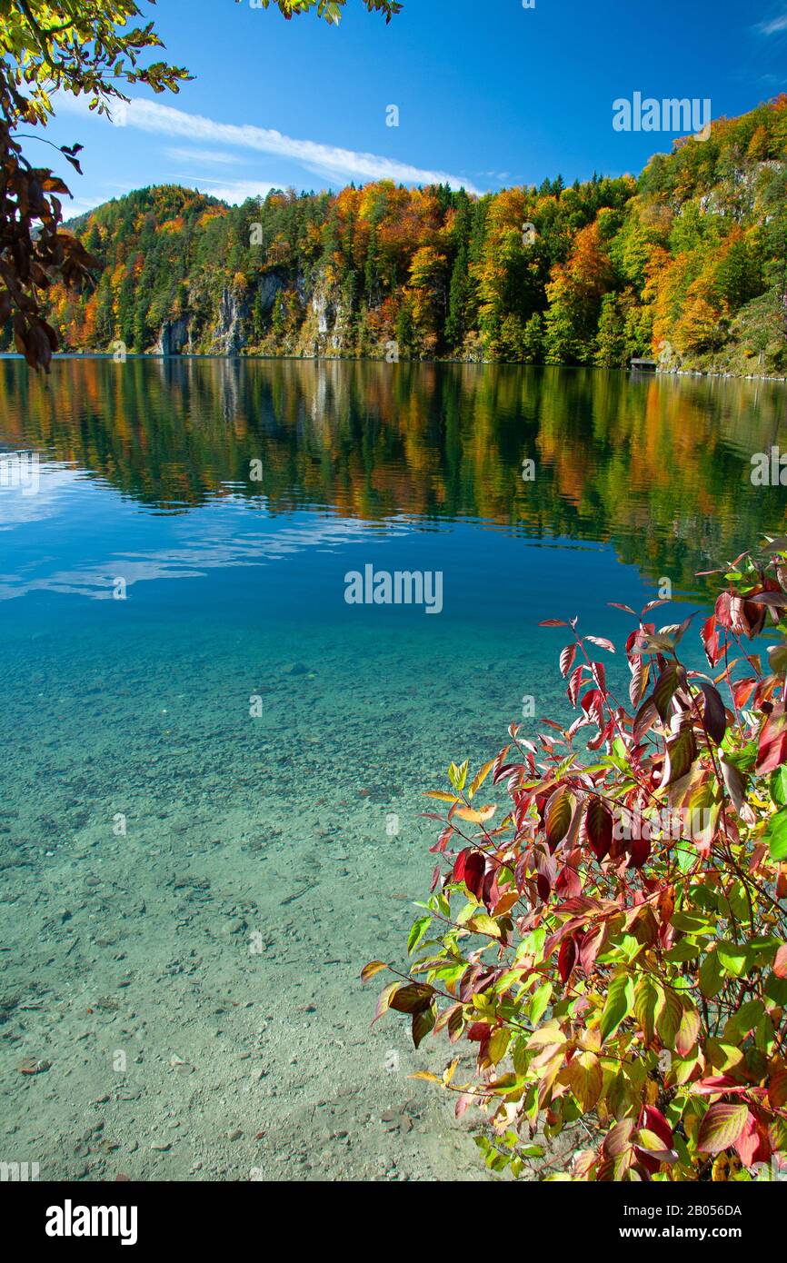 Blick auf den Alpsee in den bayerischen Alpen bei Swangau Stockfoto