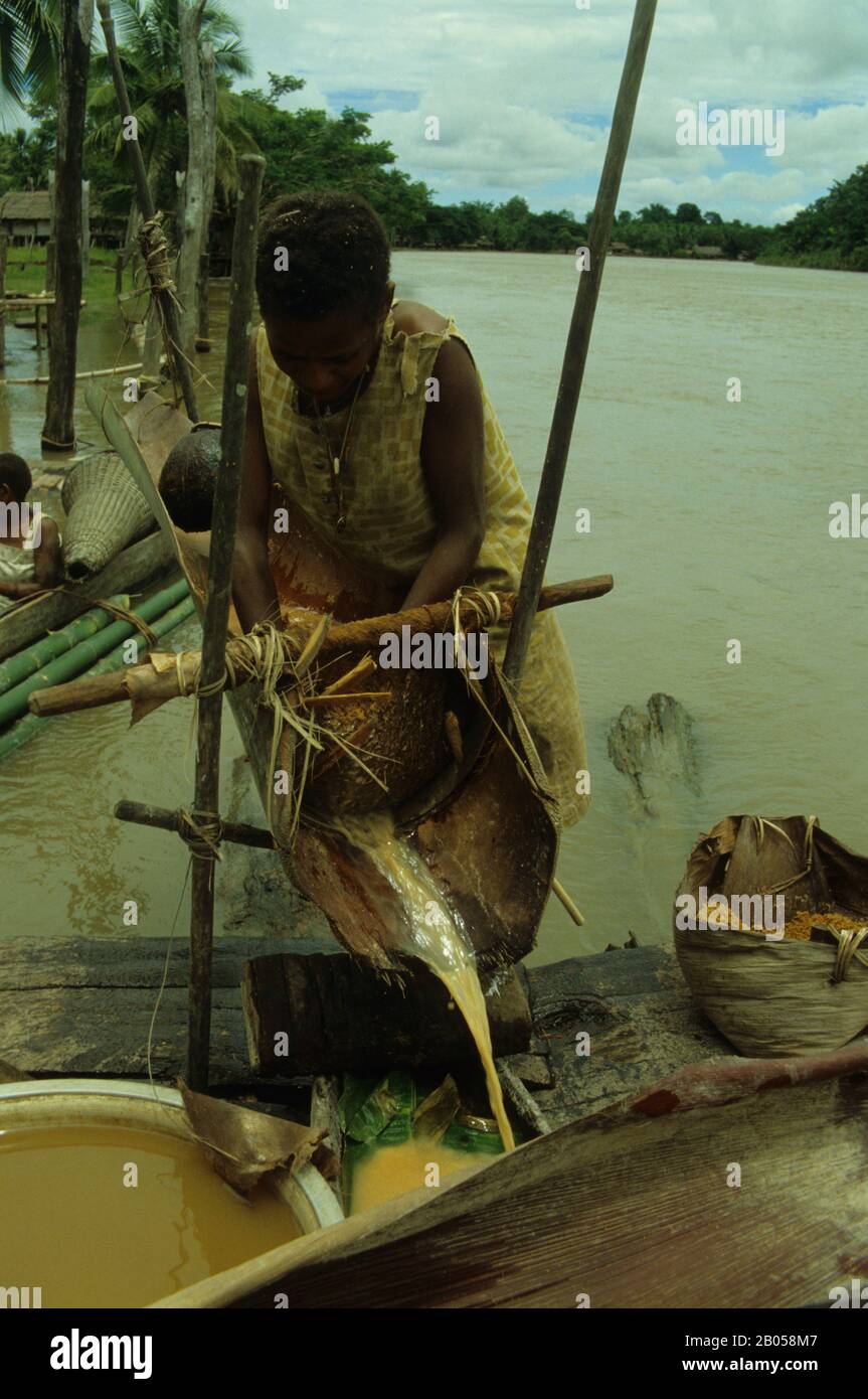 PAPUA-NEUGUINEA, FLUSS SEPIK, IN DER NÄHE VON ANGORAM, KLEINES DORF, SAGO PALM PROCESSING Stockfoto