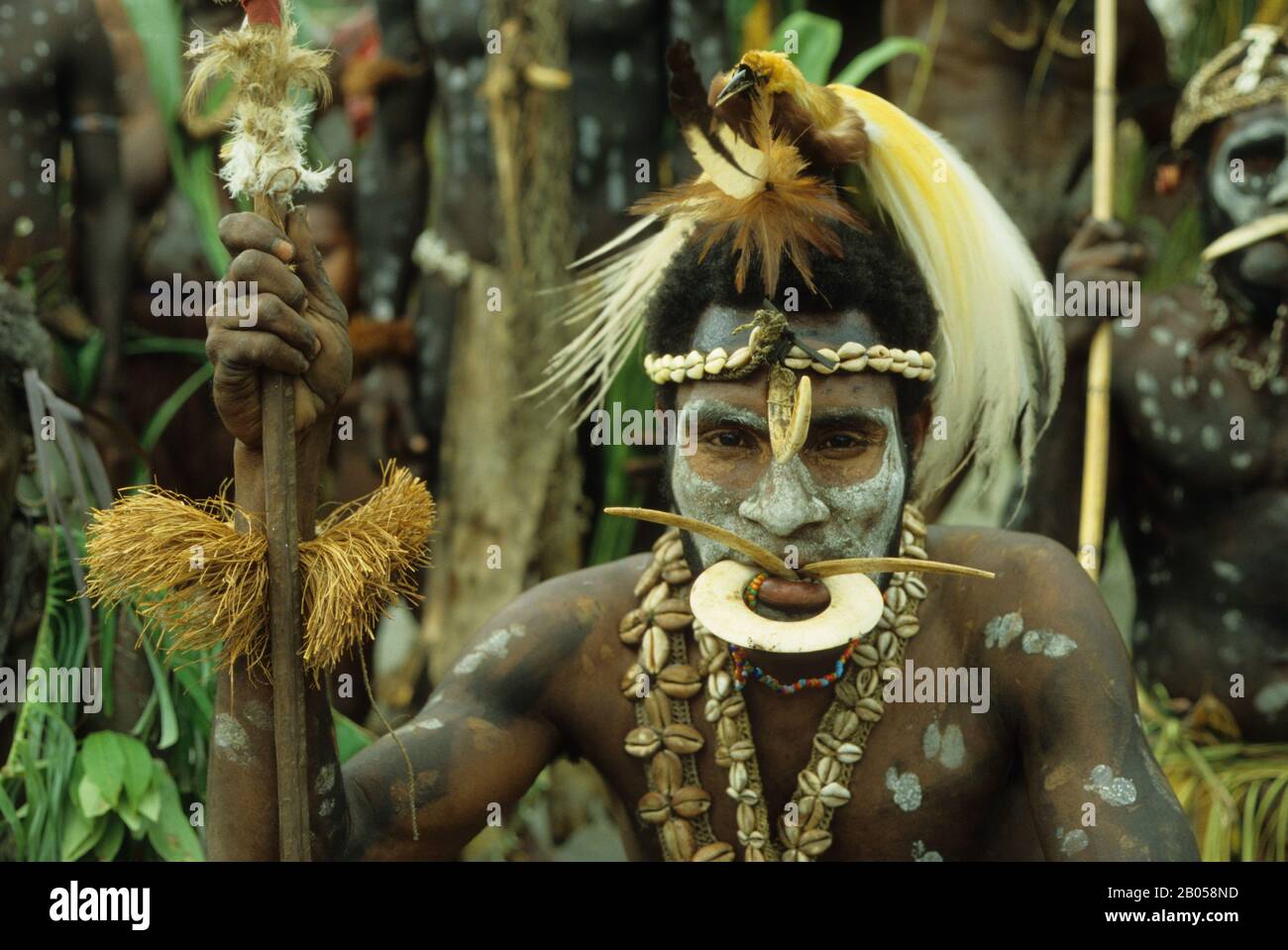 PAPUA-NEUGUINEA, SEPIK-FLUSS, MAN IM TRADITIONELLEN KLEID MIT PARADIESFEDERN Stockfoto