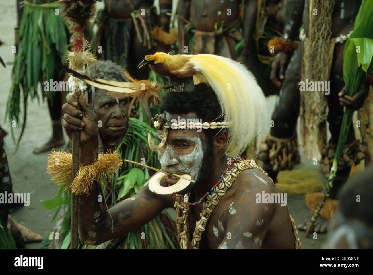 PAPUA-NEUGUINEA, SEPIK-FLUSS, HEIMISCHER MAN IM TRADITIONELLEN KLEID MIT VOGEL-PARADIES-ADRESSE Stockfoto