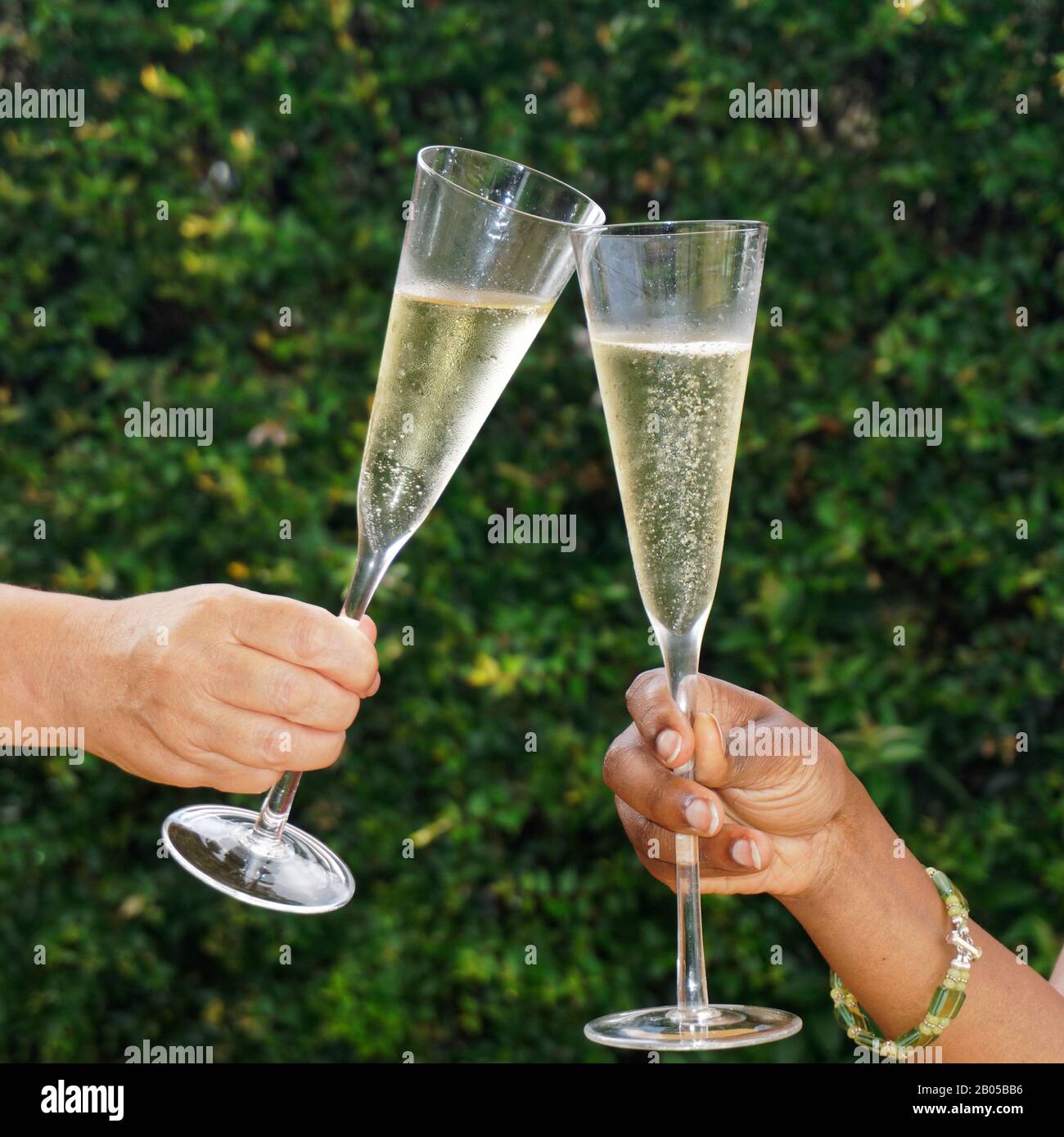 Zwei Hände, die Champagner-Weingläser und Klopfsglas in einem Toast halten. Stockfoto