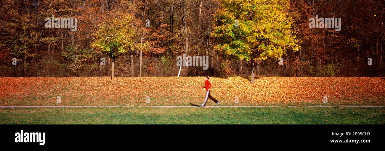 Frau Jogging auf einem Feld, Baden-Württemberg, Deutschland Stockfoto