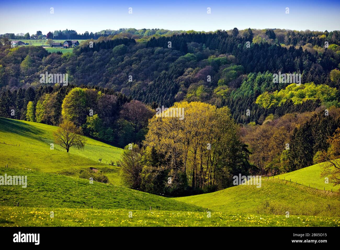Wiesen und Wälder in Hügellandschaft im Frühjahr, Deutschland, Nordrhein-Westfalen, Bergisches Land, Radevormwald Stockfoto