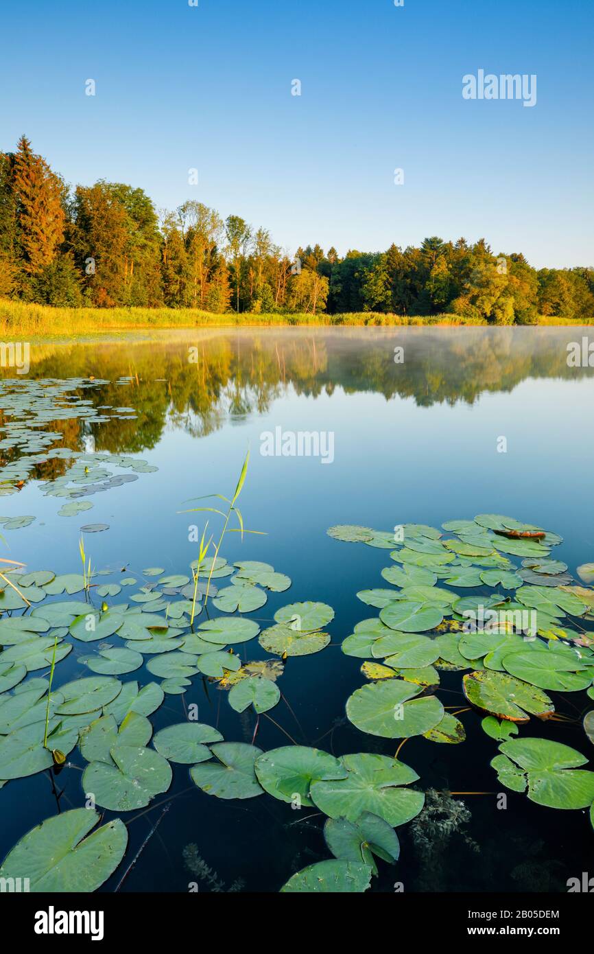 Burgaeschisee im Morgengrauen, Schweiz, Solothurn Stockfoto