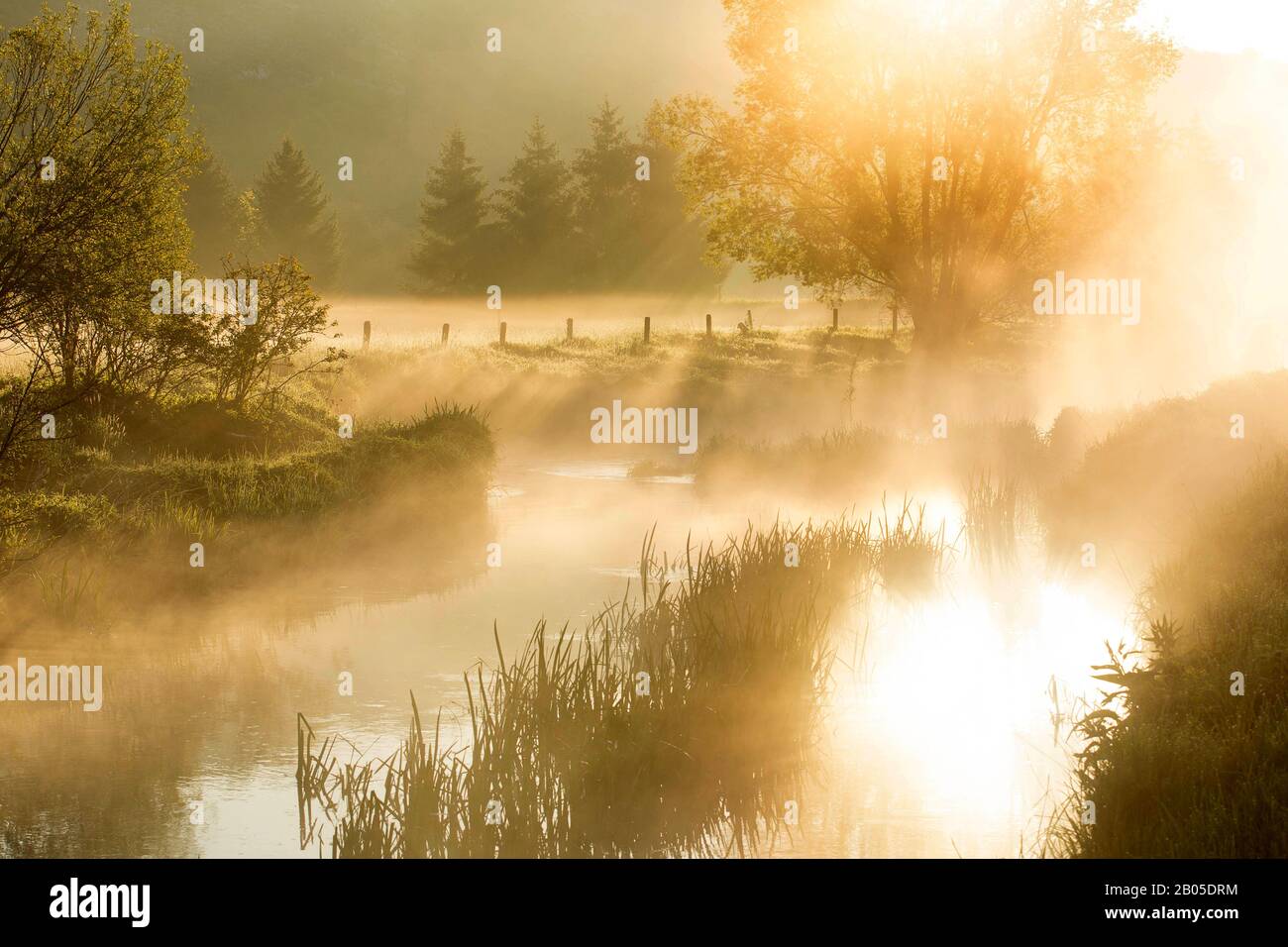 River Eau Blanche; Walphy Restore-Projekt bei Sonnenaufgang, Belgien, Viroinvallei, Dourbes Stockfoto
