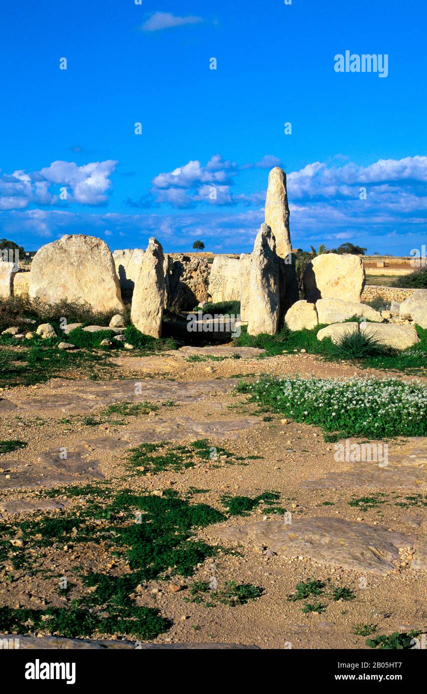 MALTA, HAGAR QIM TEMPEL, 2700 V. CHR., BLUMEN Stockfoto