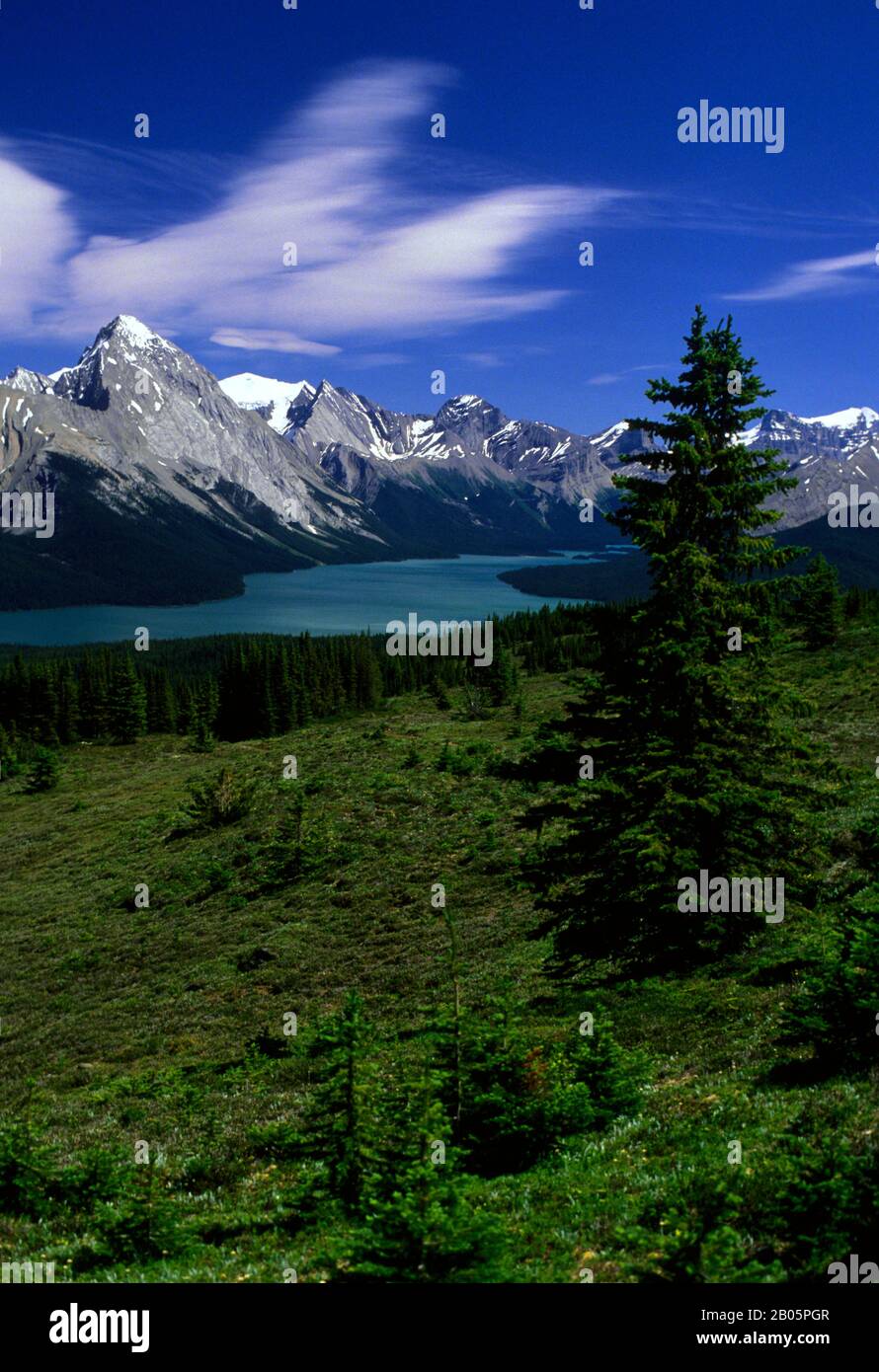 KANADA, ALBERTA, FELSIGE BERGE, JASPER NATIONALPARK, MALIGNE LAKE MIT ELIZABETH RANGE Stockfoto