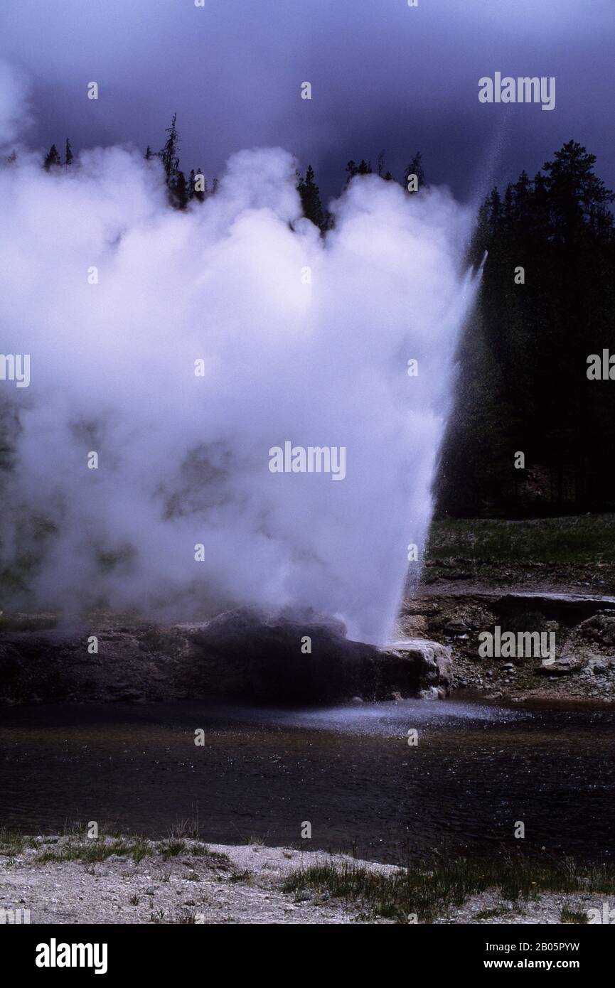 USA, WYOMING, YELLOWSTONE-NATIONALPARK, OBERES GEYSIR-BECKEN, RIVERSIDE GEYSER Stockfoto