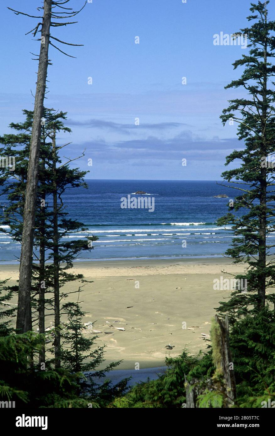 KANADA, BC, VANCOUVER ISLAND PACIFIC RIM NATIONALPARK, BLICK AUF DEN LANGEN STRAND Stockfoto