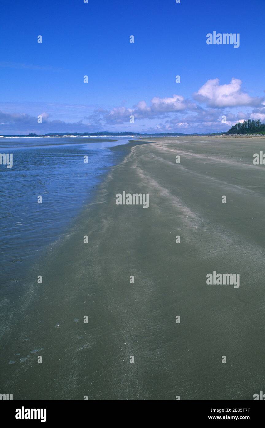 KANADA, BRITISH COLUMBIA, VANCOUVER ISLAND, PACIFIC RIM NATIONAL PARK, LONG BEACH Stockfoto