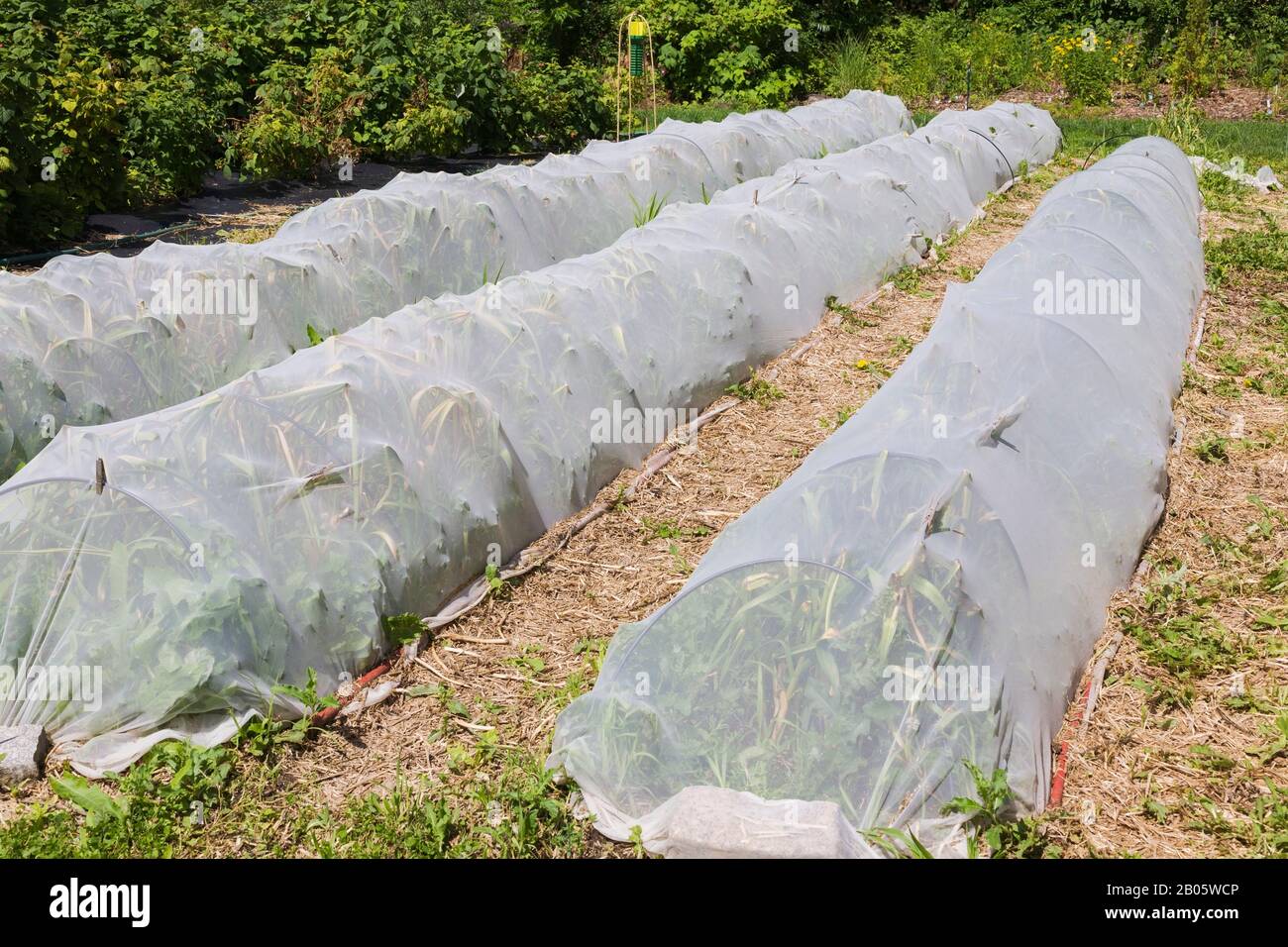 Abdeckung Zum Schutz Von Pflanzen Stockfotos Und Bilder Kaufen Alamy