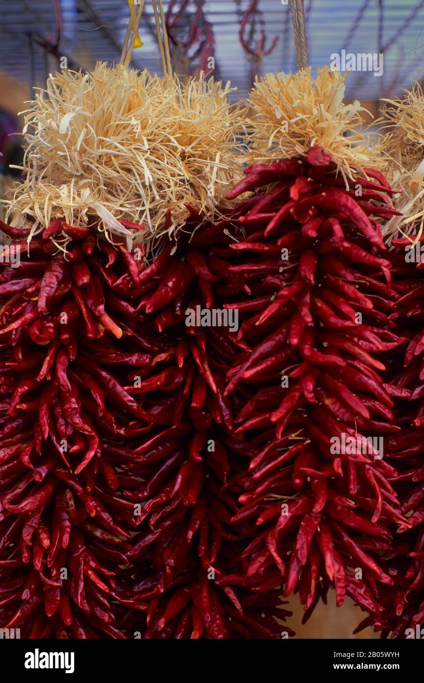 USA, NEW MEXICO, SANTA FE, NAHAUFNAHME VON GETROCKNETEN PAPRIKA Stockfoto
