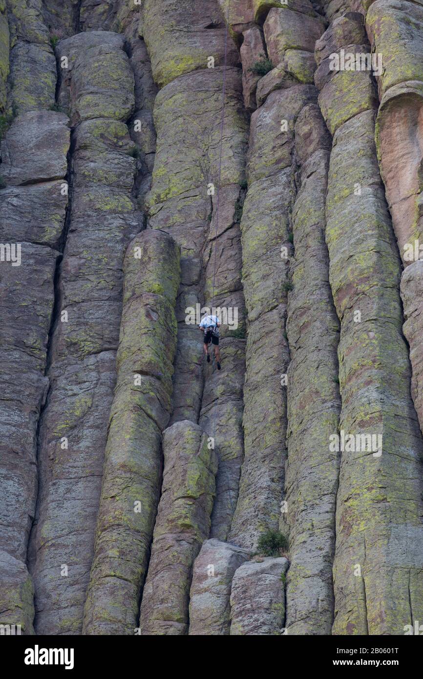 Devils TOWER NATIONAL MONUMENT, WYOMING - 3. Juli 2014: Ein Mann, der Seile und Ausrüstung verwendet, um die gerissenen Felsen am Devils Tower NM, Wyoming am Juli abzustoßen Stockfoto