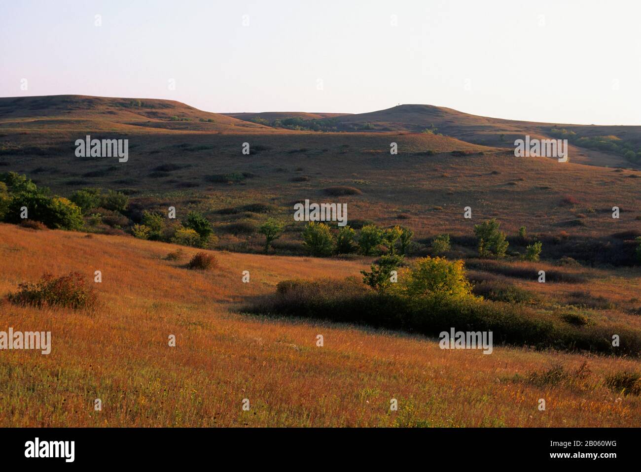 USA, KANSAS, MANHATTAN, KONZA PRAIRIE ERFORSCHEN NATURRAUM, LANDSCHAFT Stockfoto