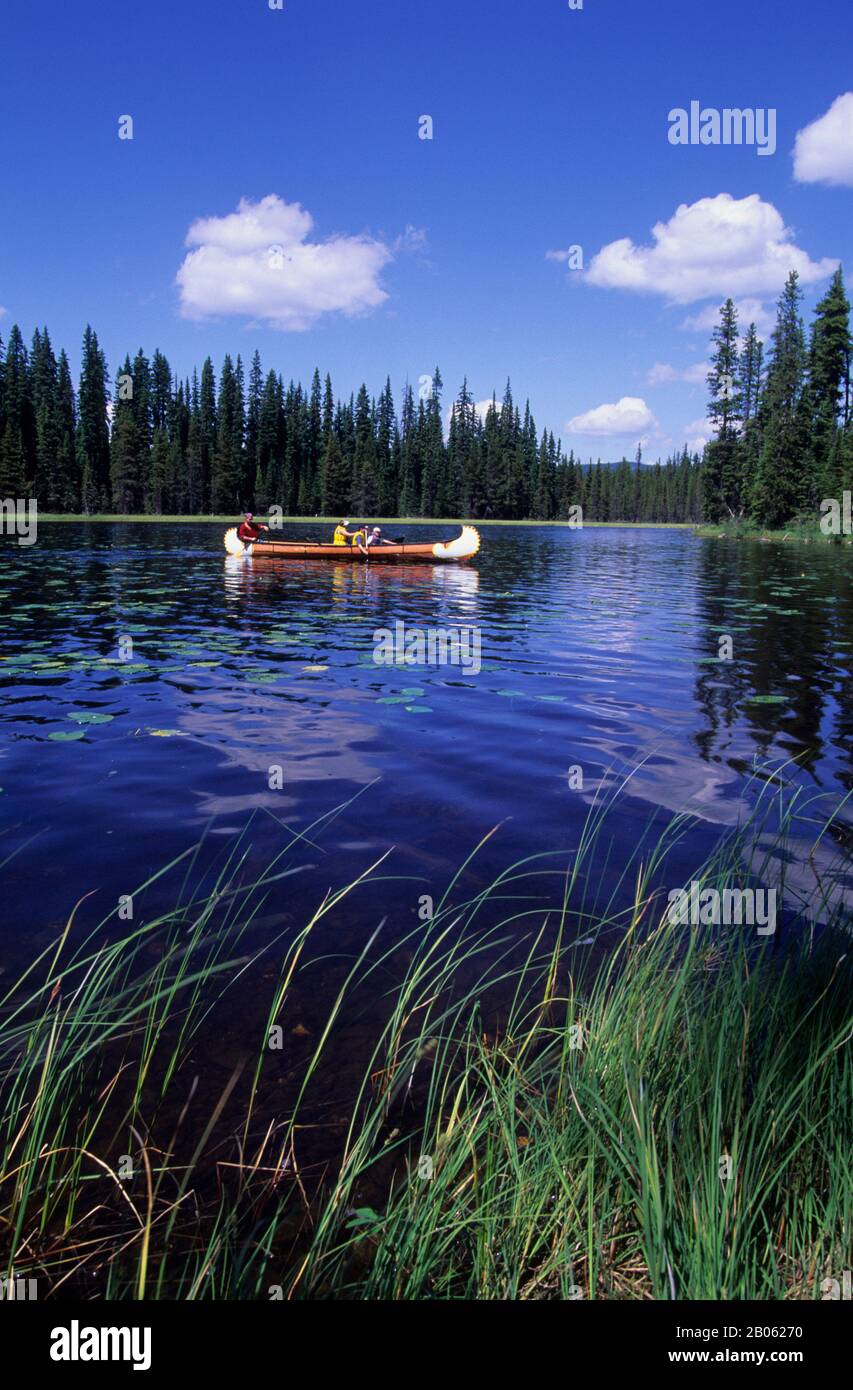 KANADA, BRITISH COLUMBIA, SUN PEAKS, IN DER NÄHE VON KAMLOOPS, MCGILLIVRAY LAKE, VOYAGEUR CANOE, (MR) Stockfoto