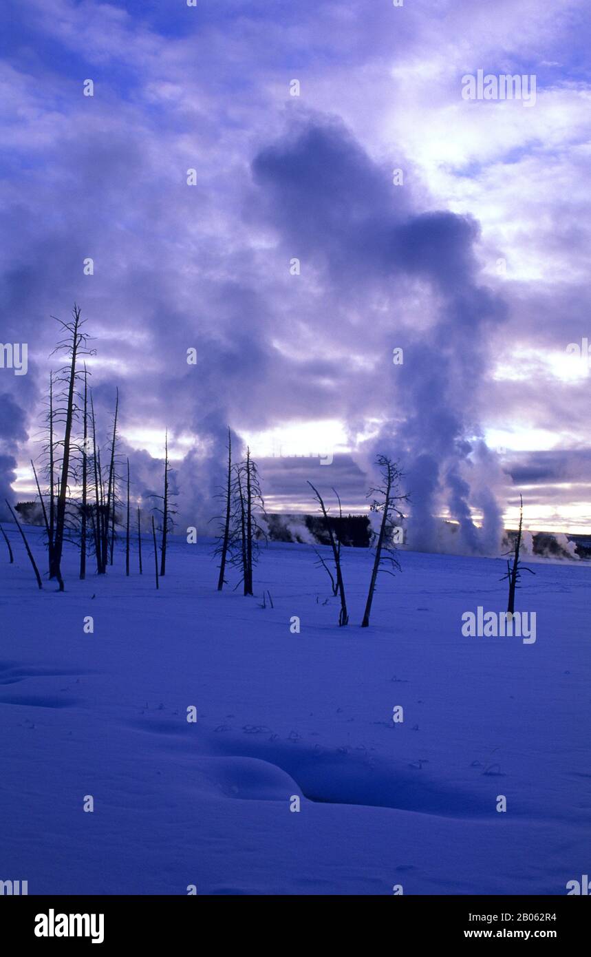 USA, WYOMING, YELLOWSTONE NATIONALPARK, FOUNTAIN PAINT POT-BEREICH, DAMPF STEIGT AUS HEISSEN QUELLEN Stockfoto