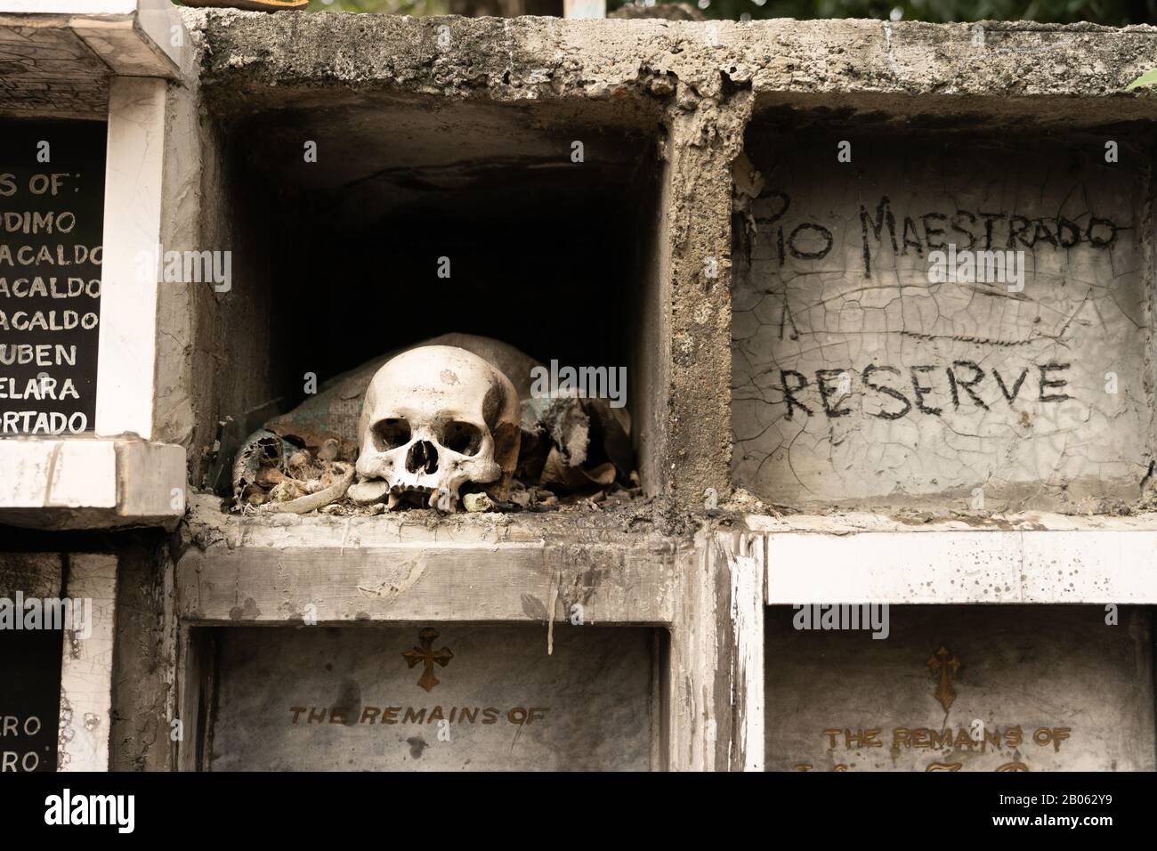 Ein menschlicher Schädel und Knochen, die auf dem Rand eines Grabes innerhalb des Calamba-Friedhofs, Cebu City, Philippinen, ruhen.Es ist nicht ungewöhnlich, Überreste des Dekease zu finden Stockfoto