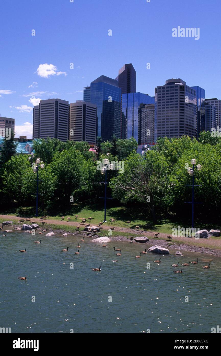 KANADA, ALBERTA, CALGARY, EAU CLAIRE FESTIVAL MARKET, PARK, BLICK VON DER BRÜCKE Stockfoto