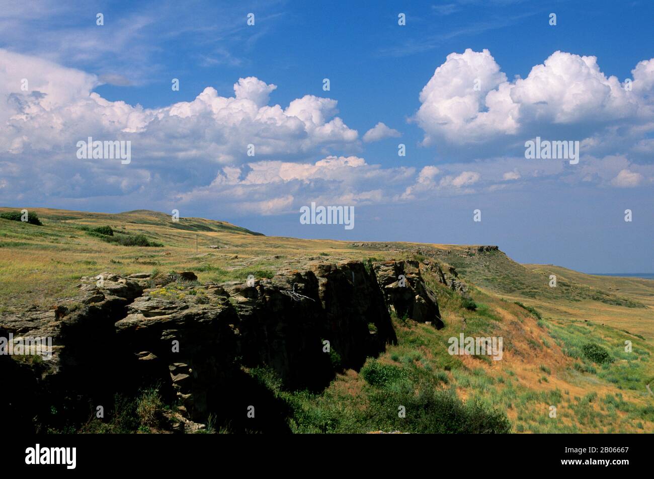 KANADA, ALBERTA, IN DER NÄHE VON FORT MACLEOD, HEAD-SMISHHED-IN BUFFALO JUMP, UNESCO, CLIFF Stockfoto