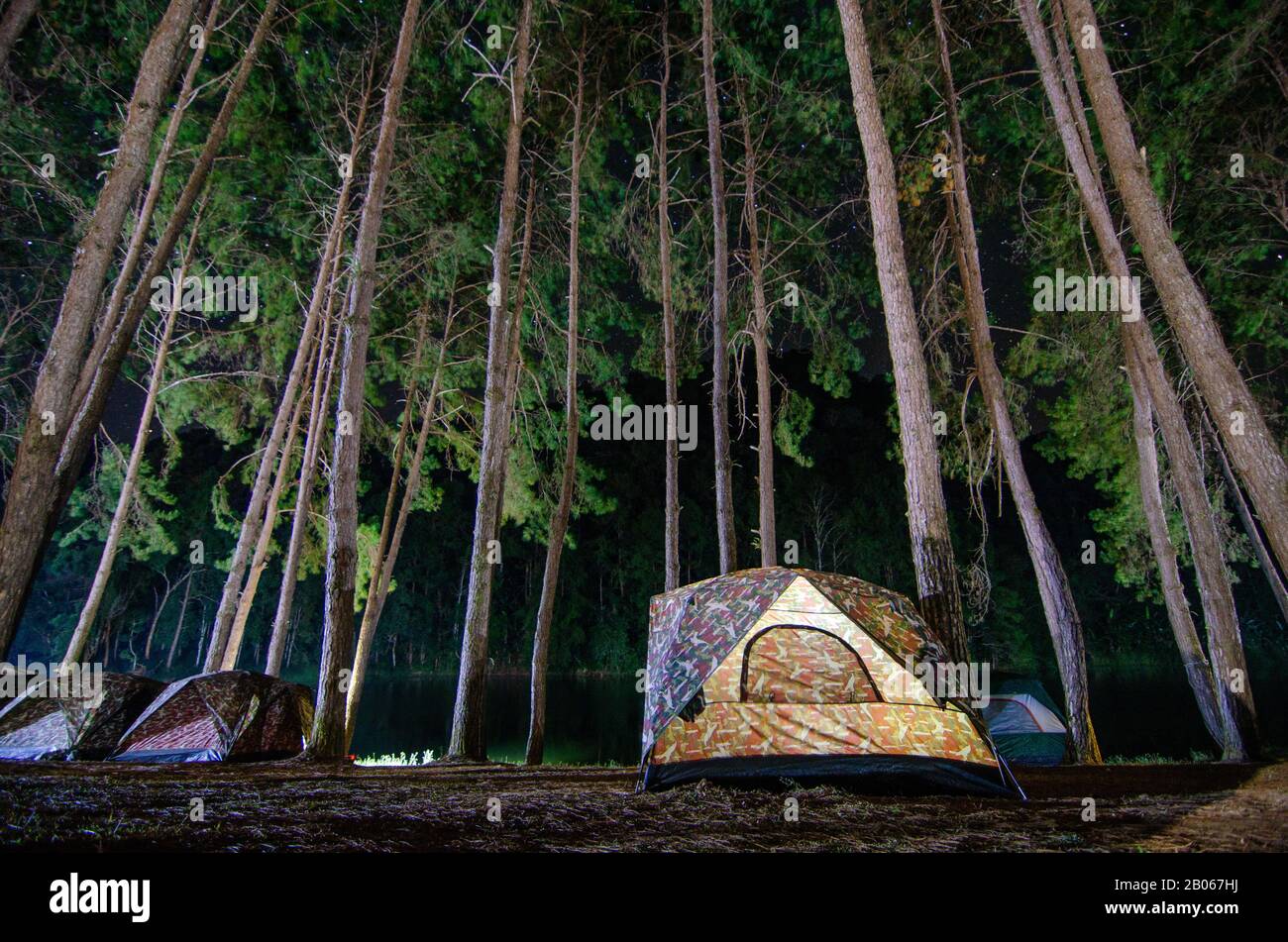 Tanzcamping im Pang Ung Forest, Mae Hong Son Provinz, Thailand Stockfoto