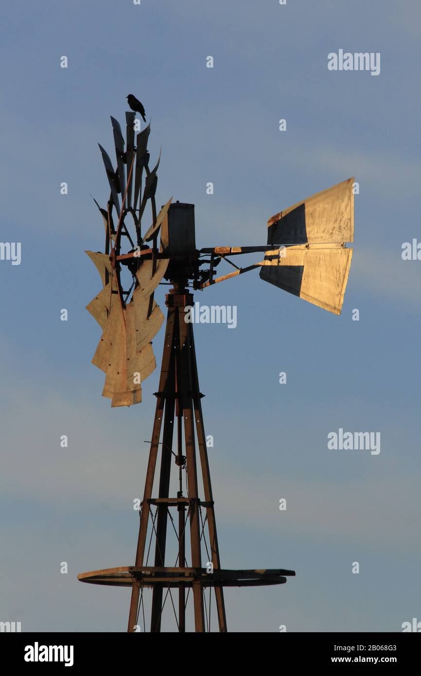 Windmühle bei Sonnenuntergang mit farbenfrohem Himmel. Stockfoto