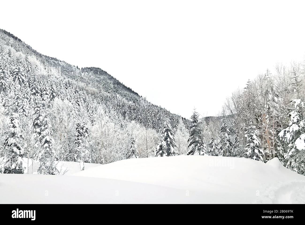 Der natürliche Schneehügel und Baum in Japan Yatsugatake-Berge Stockfoto