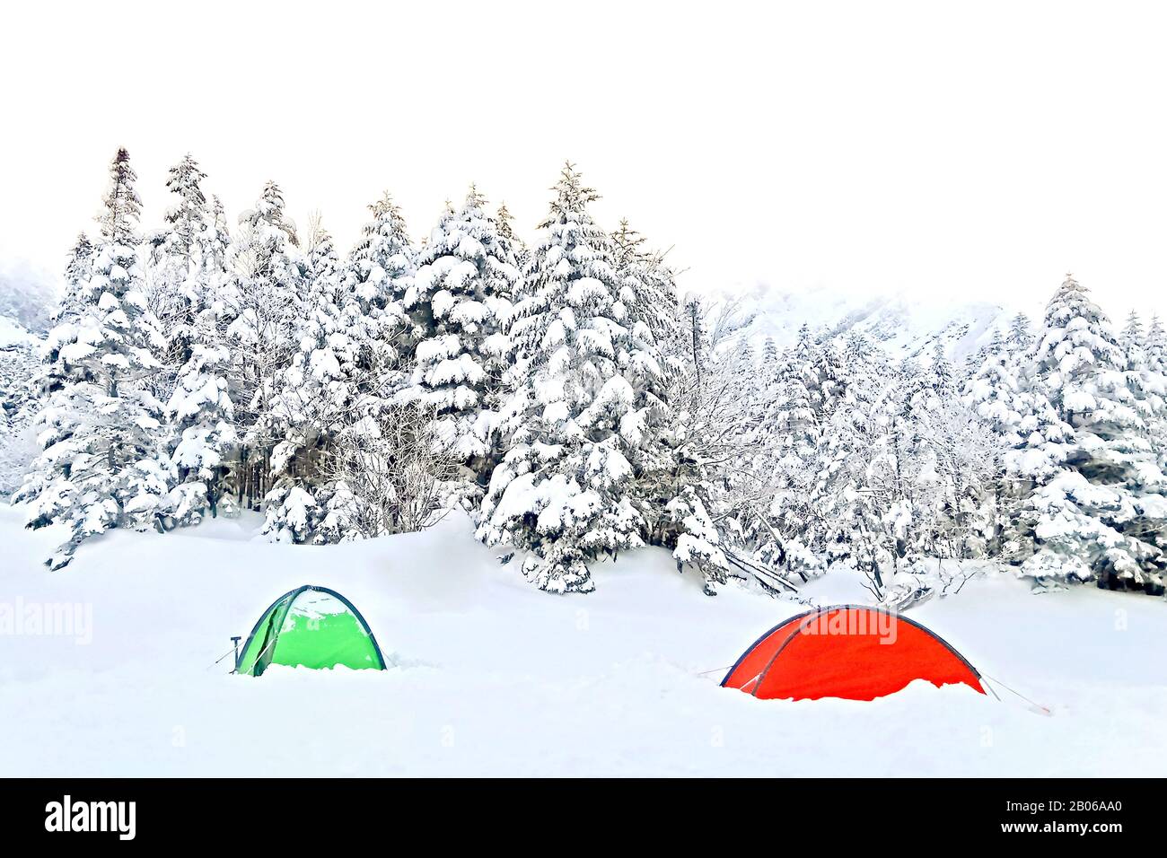 Die roten und grünen Zelte, natürlicher Schneehügel in Japan Yatsugatake-Berge Stockfoto