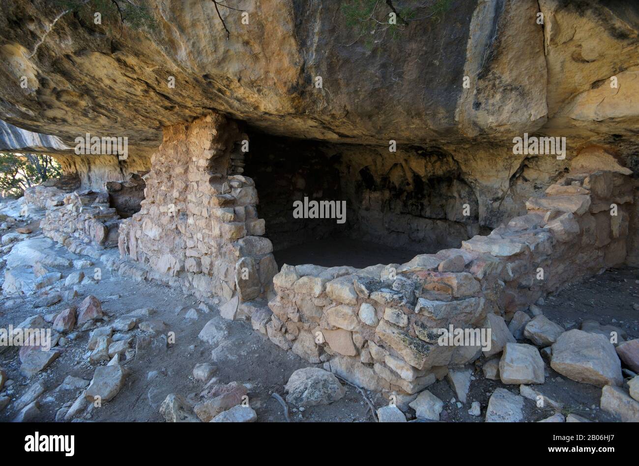 USA, ARIZONA, IN DER NÄHE VON FLAGSTAFF, NATIONALDENKMAL WALNUT CANYON, SCHLUCHWAND MIT WOHNUNGEN VON SINAGUA AB ETWA 1100 N. CHR. Stockfoto