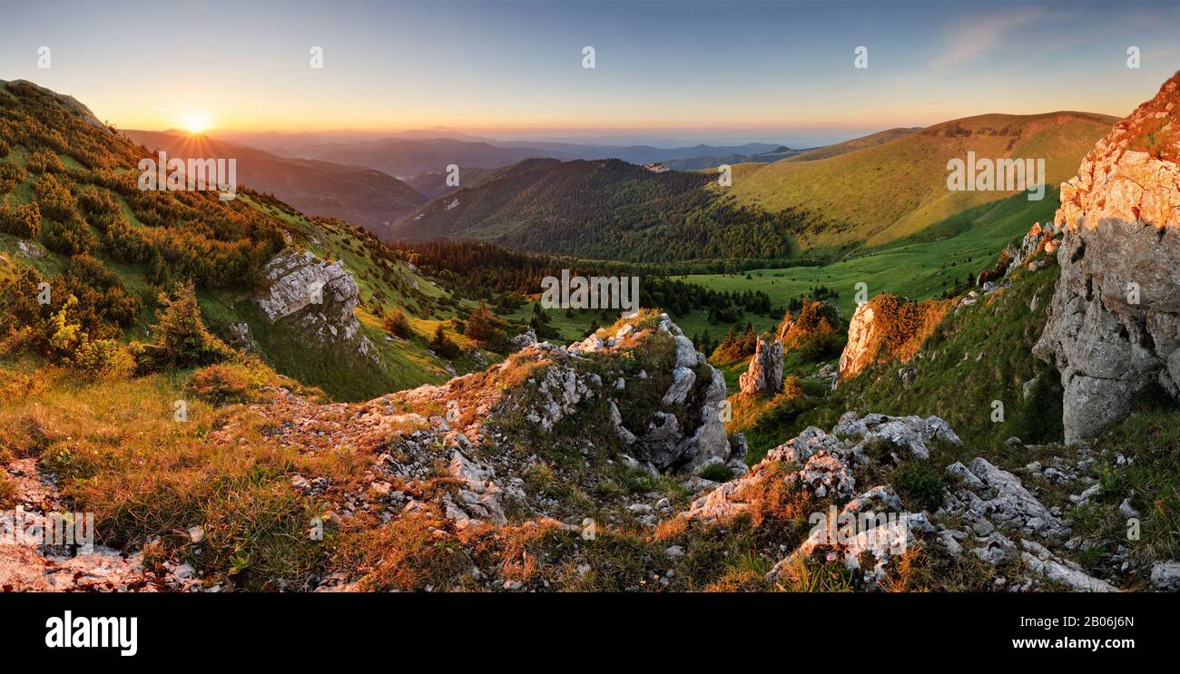 Schönen Herbst morgen über grünen Wald Tal im Nationalpark Fatra, Slowakei Landschaft Stockfoto