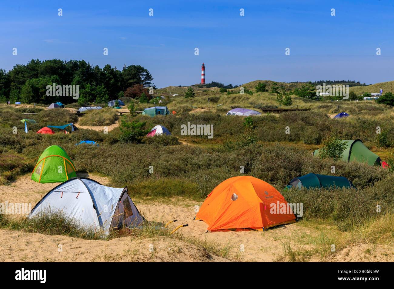 Leuchtturm Amrum, Insel Amrum, Leuchtturm, Blühende Heide, Camping Ground, Nordsee, Nordfriesische Insel, Schleswig-Holstein, Deutschland Stockfoto