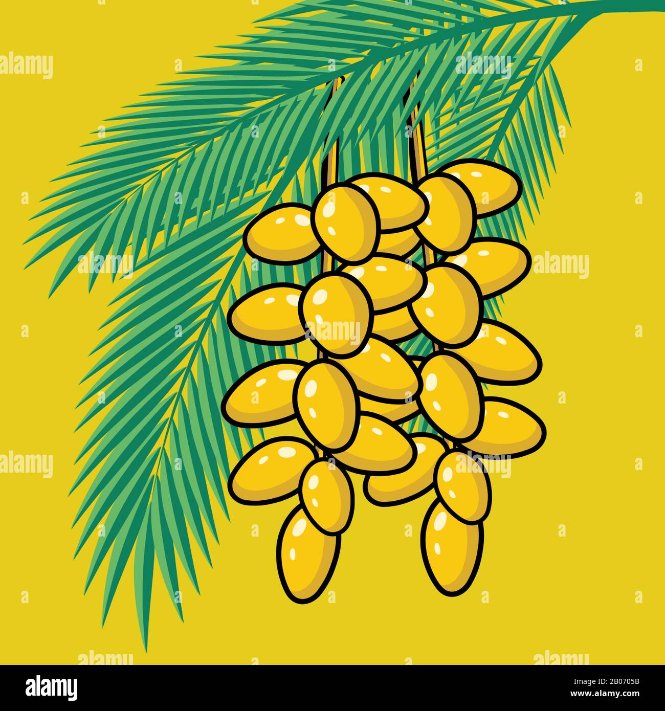 Frische Daten auf der Palme. Sommer tropische Früchte Stock Vektor