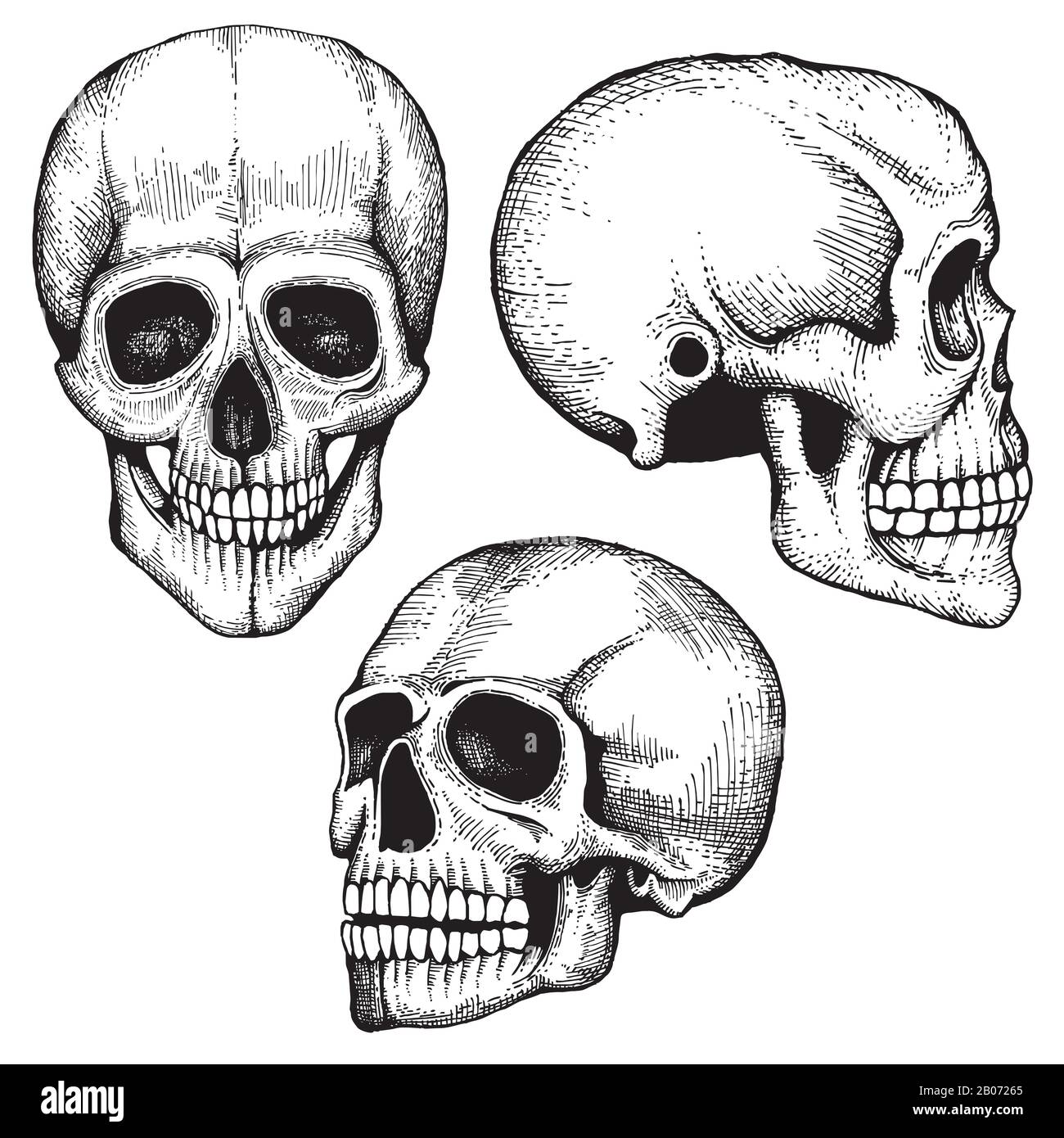 Hand gezeichnete Vektor-Todesangst menschliche Schädel Sammlung. Skelettkopfskizze mit Augen und Zähnen Stock Vektor