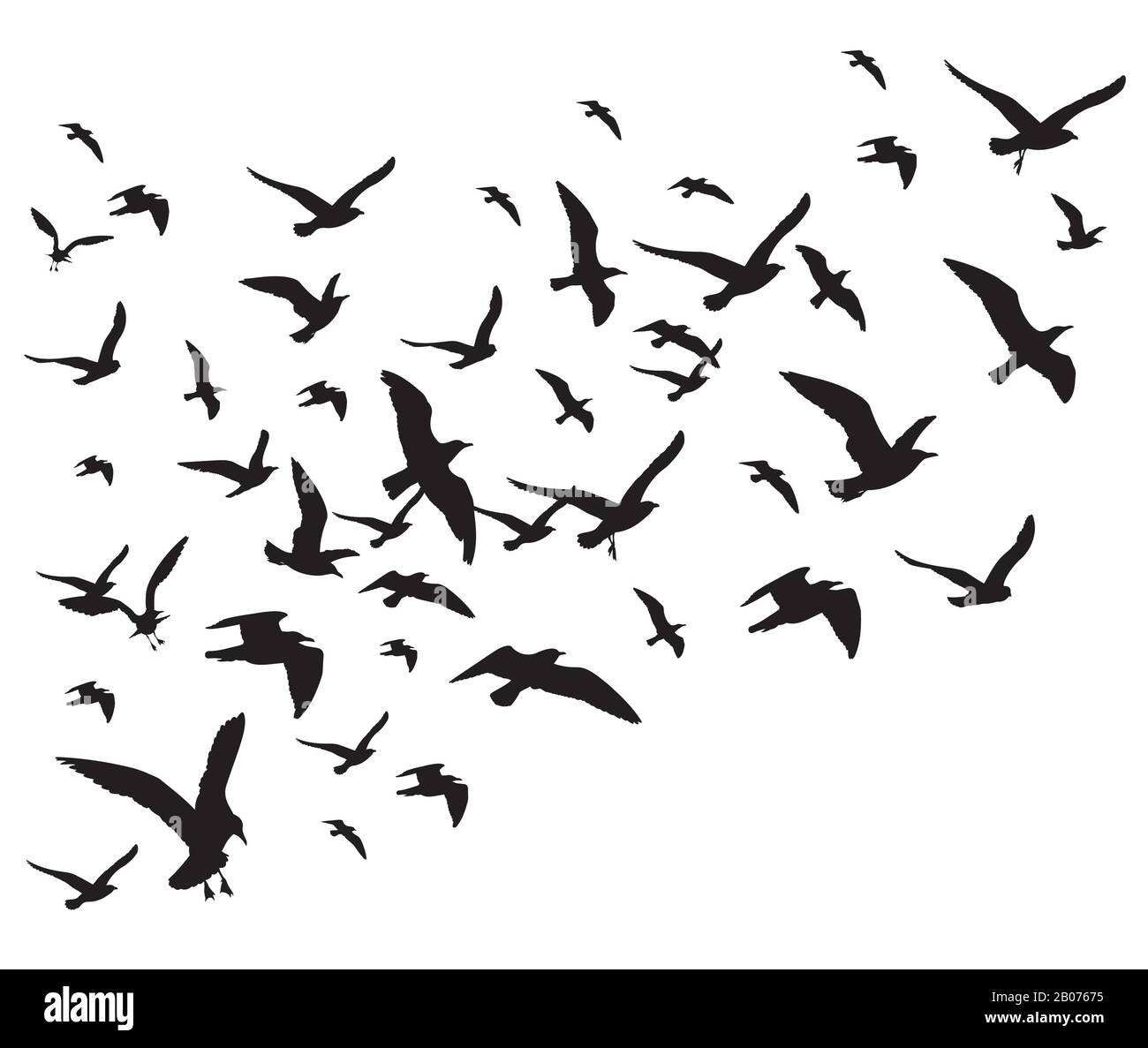 Fliegende Vögel strömen auf weißem Hintergrund isolierte Vektorgrafiken. Silhouette aus schwarzem Taubenhawk und Adler Stock Vektor