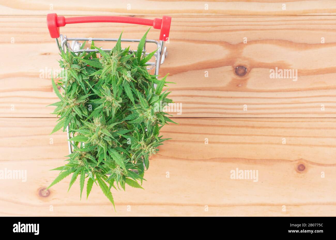 Frische Marihuana-Blume im Warenkorb auf dem Tisch Stockfoto