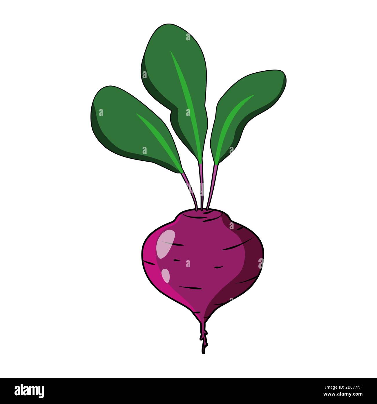 Beet mit Lamellen Vektor-Abbildung. Symbol für flaches Logo in roter Rübe Stock Vektor
