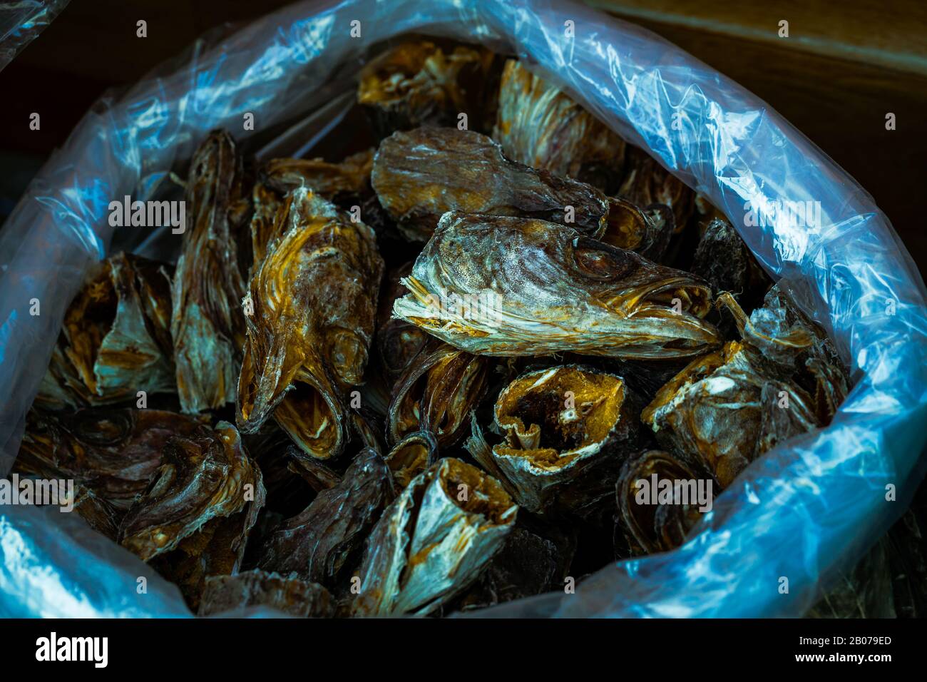 Fischköpfe in einem Fass Jeonju-Samstagsmarkt Südkorea Stockfoto