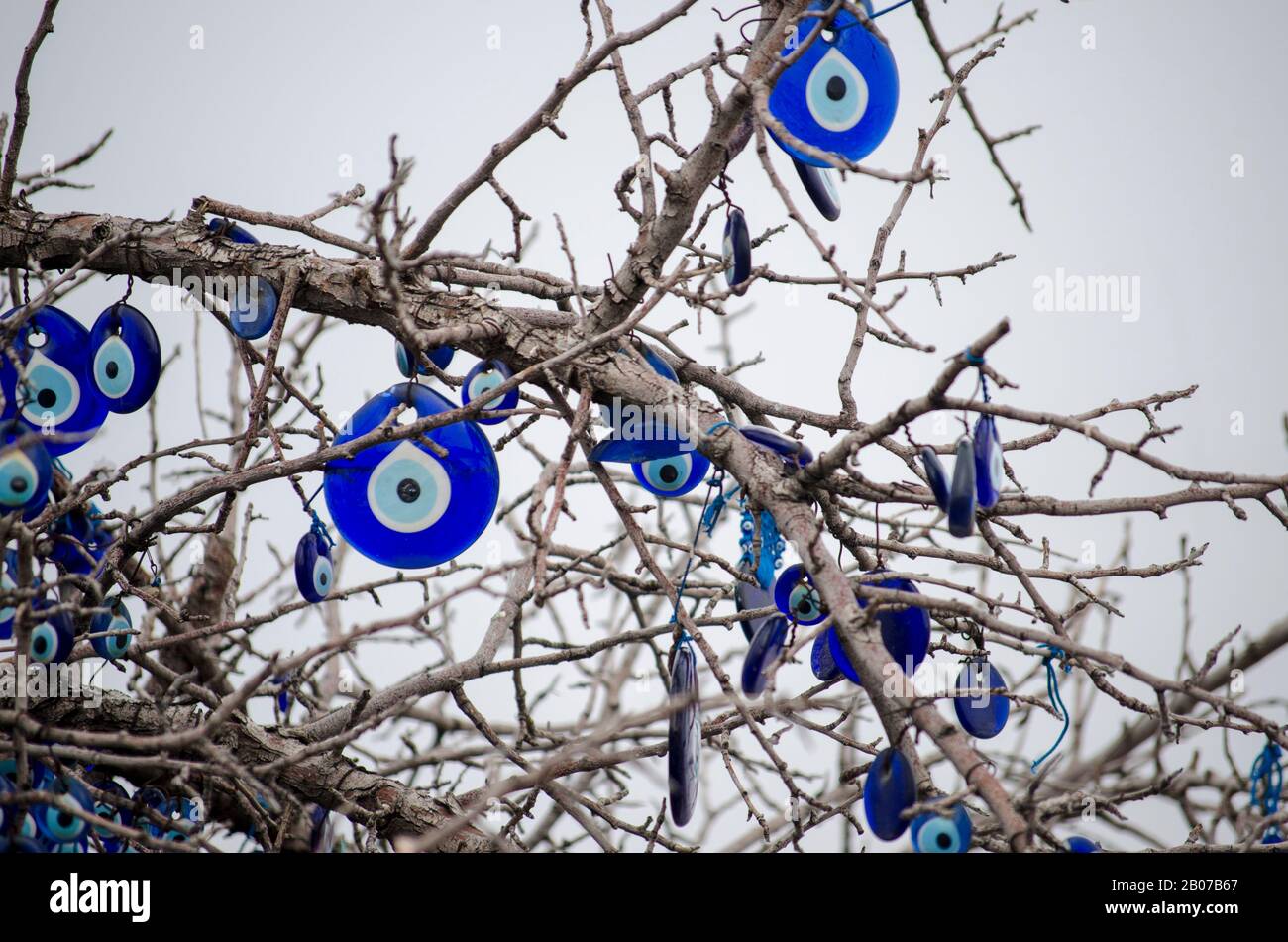 Nazar Ağacı - Evileye Tree Stockfoto