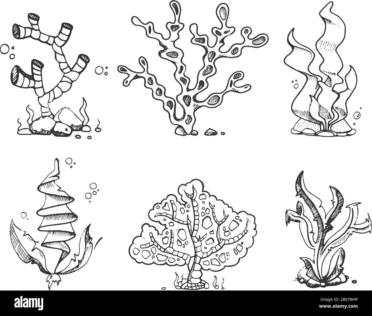 Meeresalgen, Meeresflora, Meerespflanzen in Vintage Hand gezeichnet, Doodle, Skizze Stil Stock Vector. Koralle und Kelp für Aquarium, Untersee und Unterwasserorganismus Stock Vektor