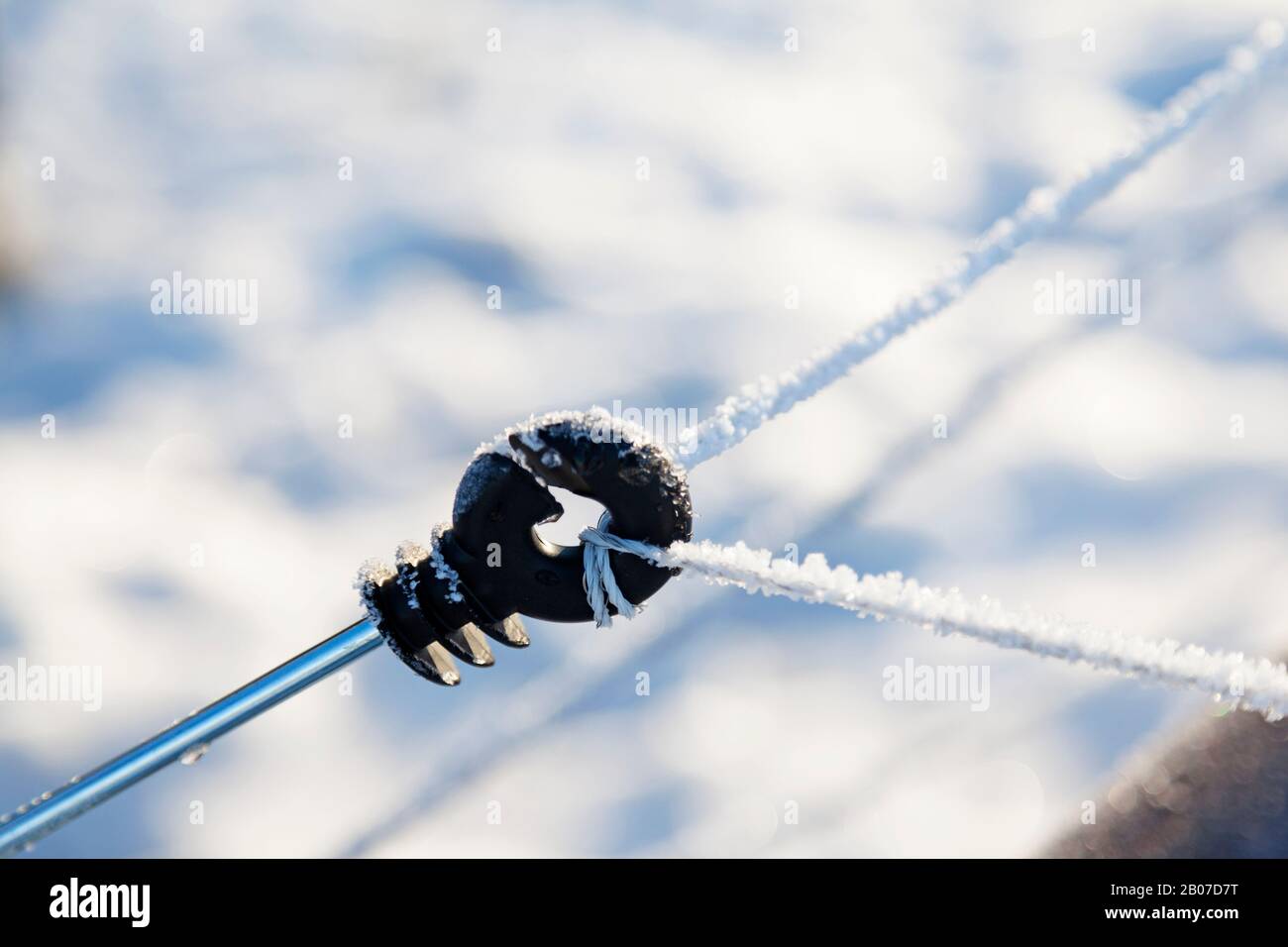 Elektrozaun für Pferde mit Schnee- und Eiskristallen auf Stockfoto