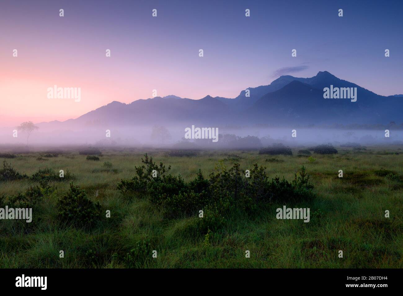 Naturreservat Kendlmühlfilzn bei Sonnenaufgang in Morgennebel, Deutschland, Bayern, Graßau Stockfoto