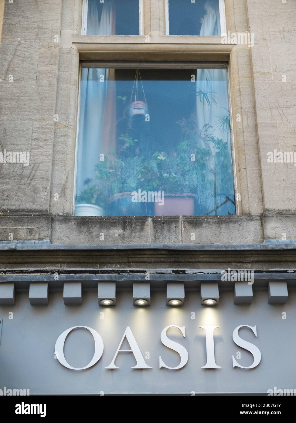 Schilder zum Lesen von Oasis unter einer Witwe voller Pflanzen in der Stadt Bath, Somerset, Großbritannien ansehen Stockfoto