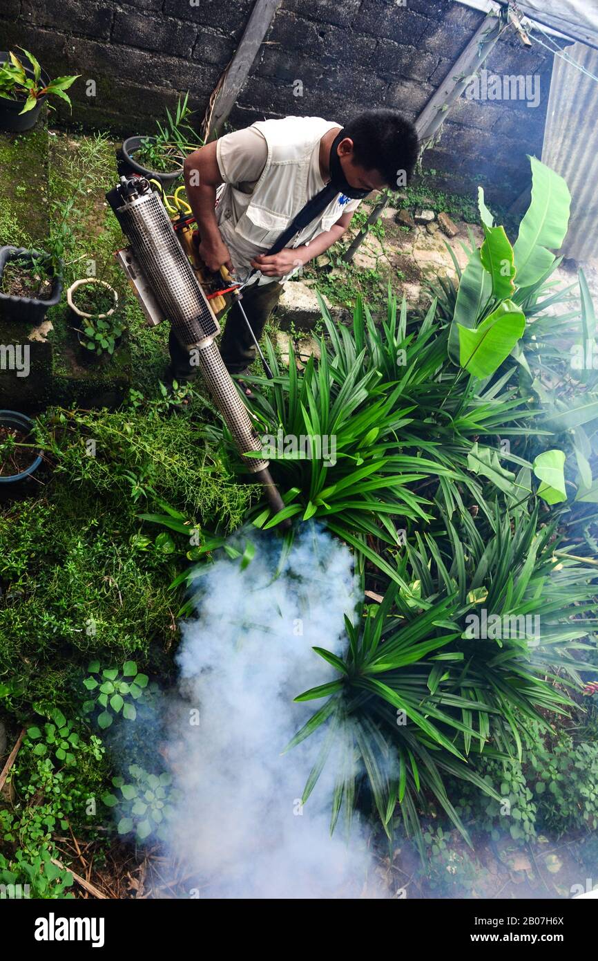 Jakarta, Indonesien - 5. November 2020: Rauchfogging durch, um Dengue Aedes Aegypti Moskito zu töten oder um Zika-Viren mit Blasmaschine zu verhindern Stockfoto
